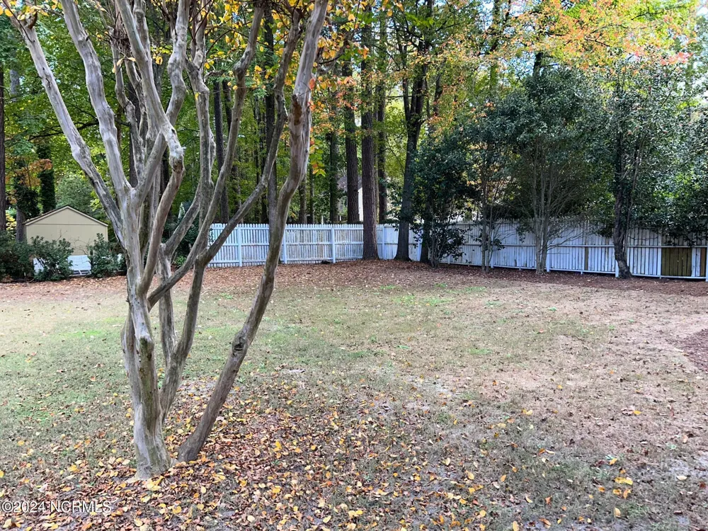203 Wesley Road Greenville, NC 27858
