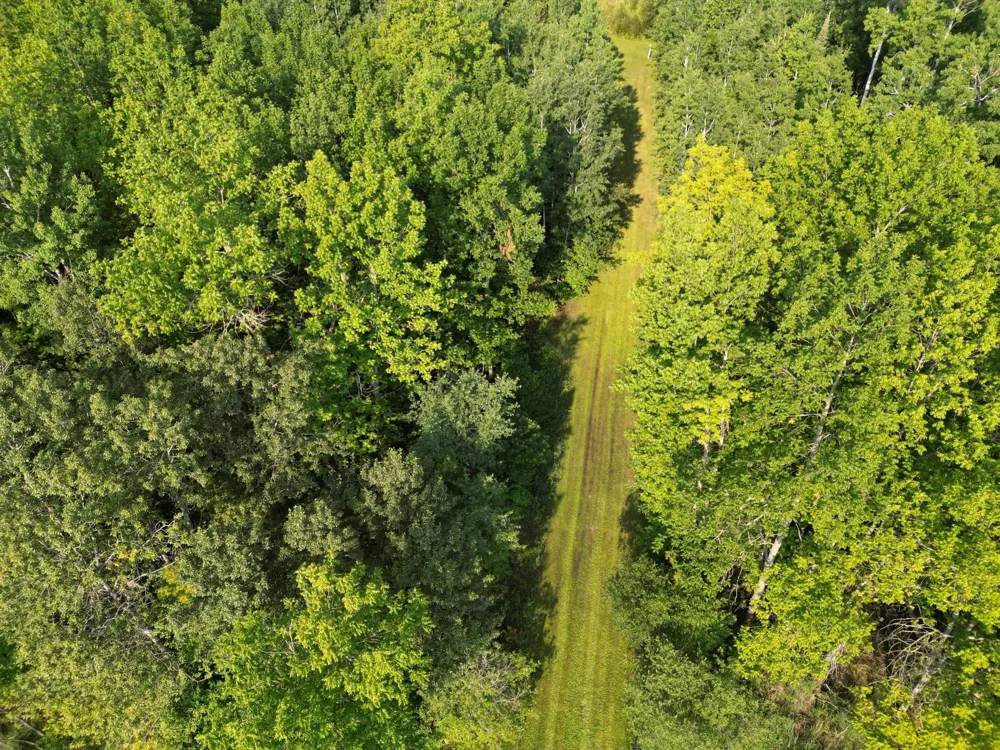 4161 County Road 9 Littlefork, MN 56653