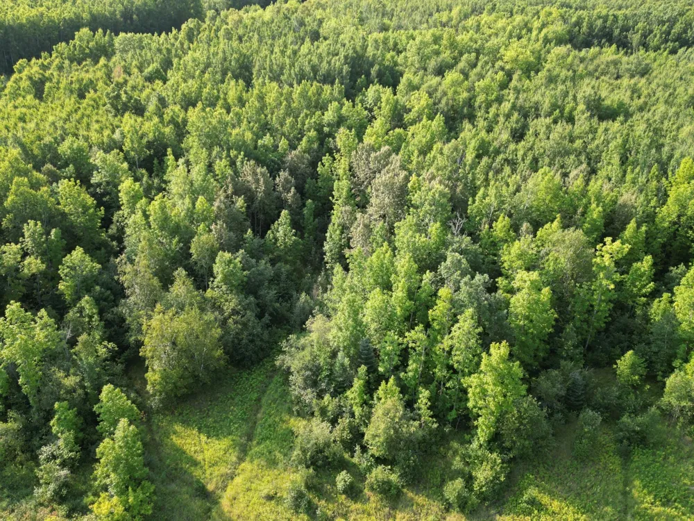 4161 County Road 9 Littlefork, MN 56653