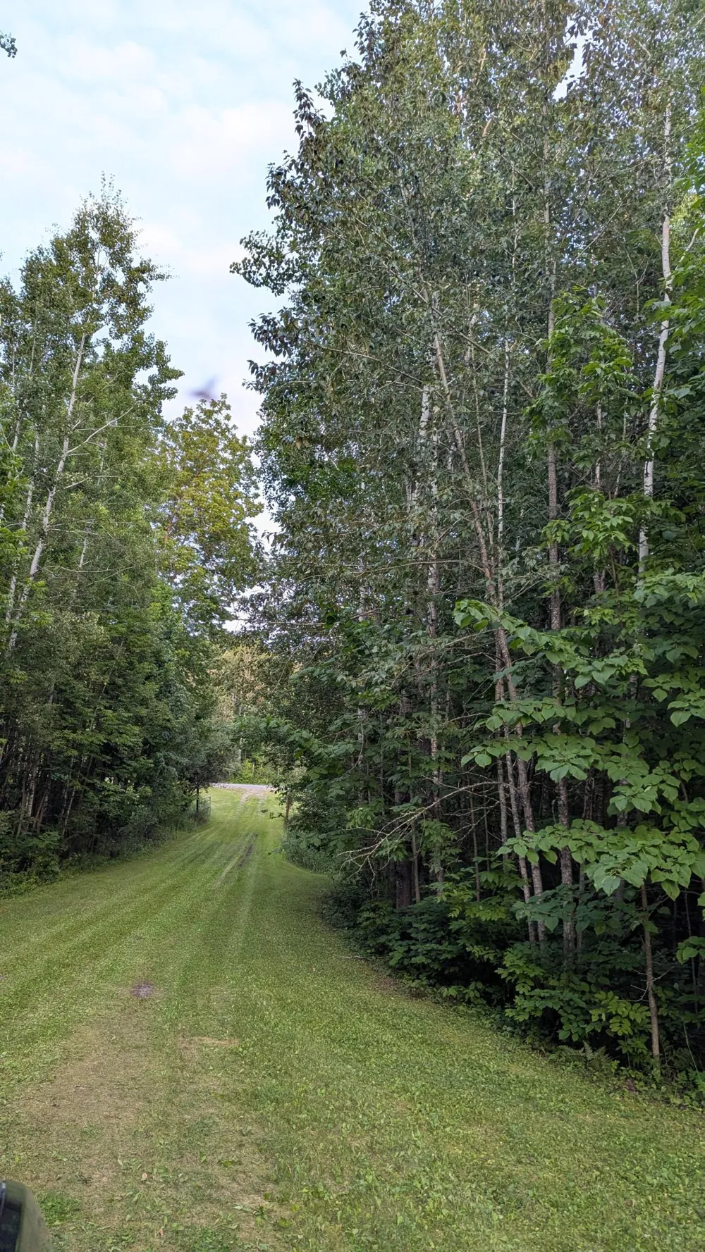 4161 County Road 9 Littlefork, MN 56653