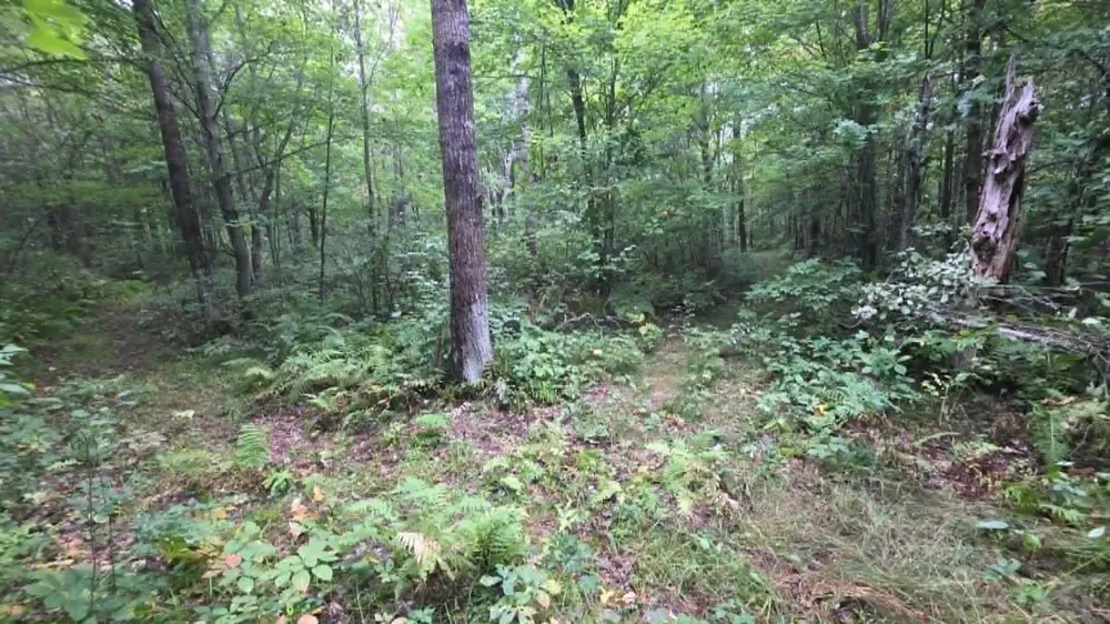 10501 County Hwy M Highway Springbrook, WI 54875