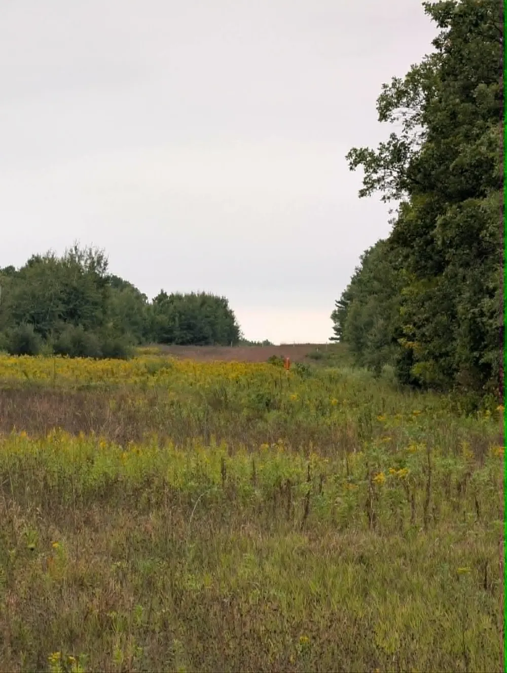 10501 County Hwy M Highway Springbrook, WI 54875
