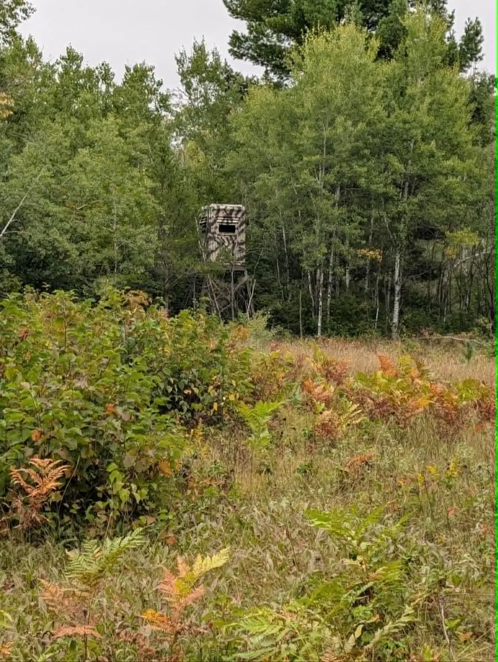 10501 County Hwy M Highway Springbrook, WI 54875