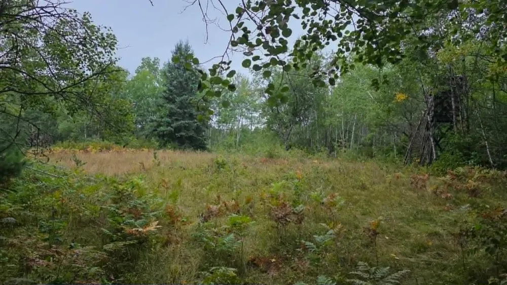 10501 County Hwy M Highway Springbrook, WI 54875