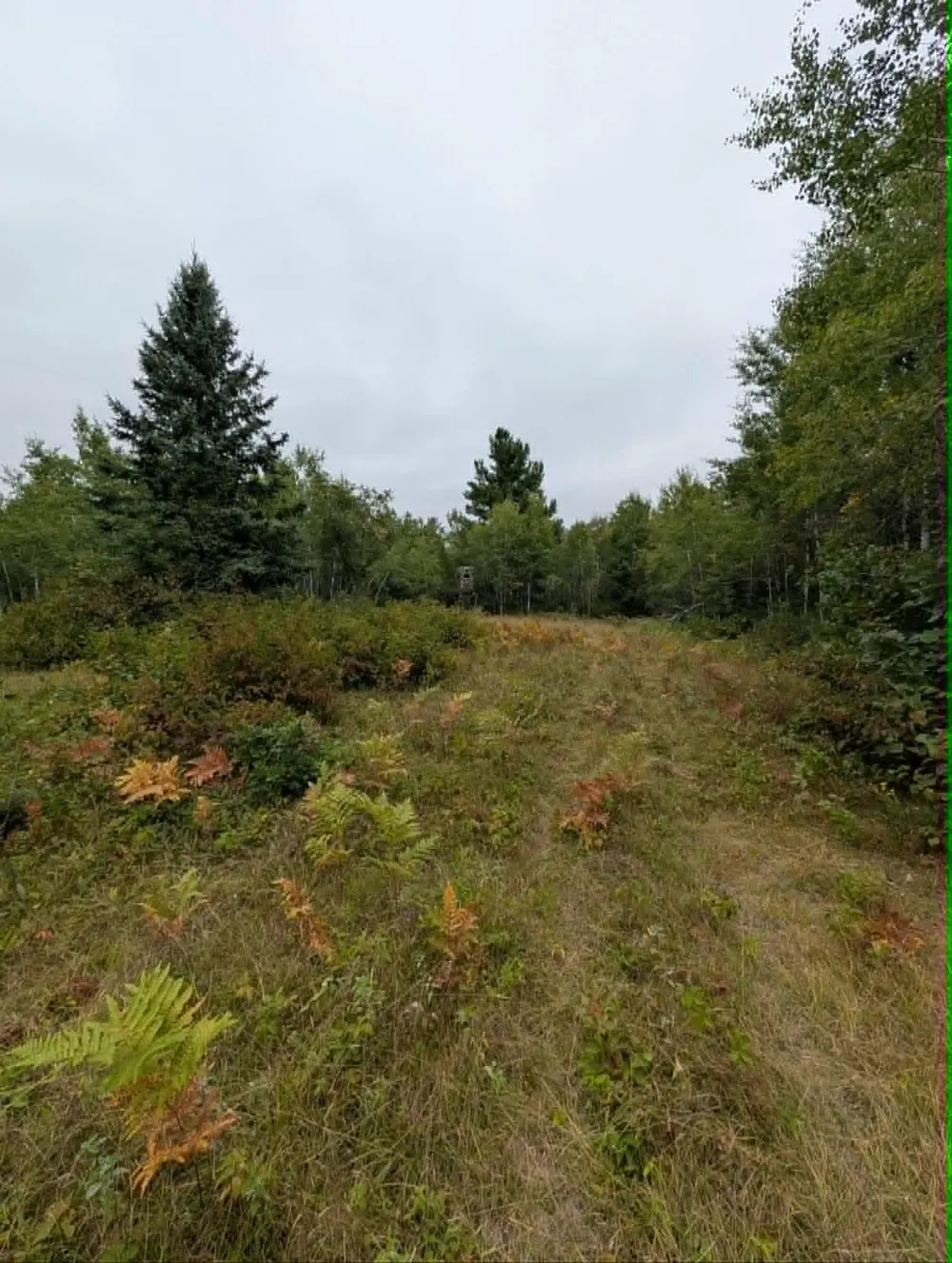 10501 County Hwy M Highway Springbrook, WI 54875