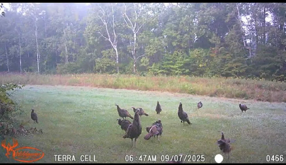 10501 County Hwy M Highway Springbrook, WI 54875