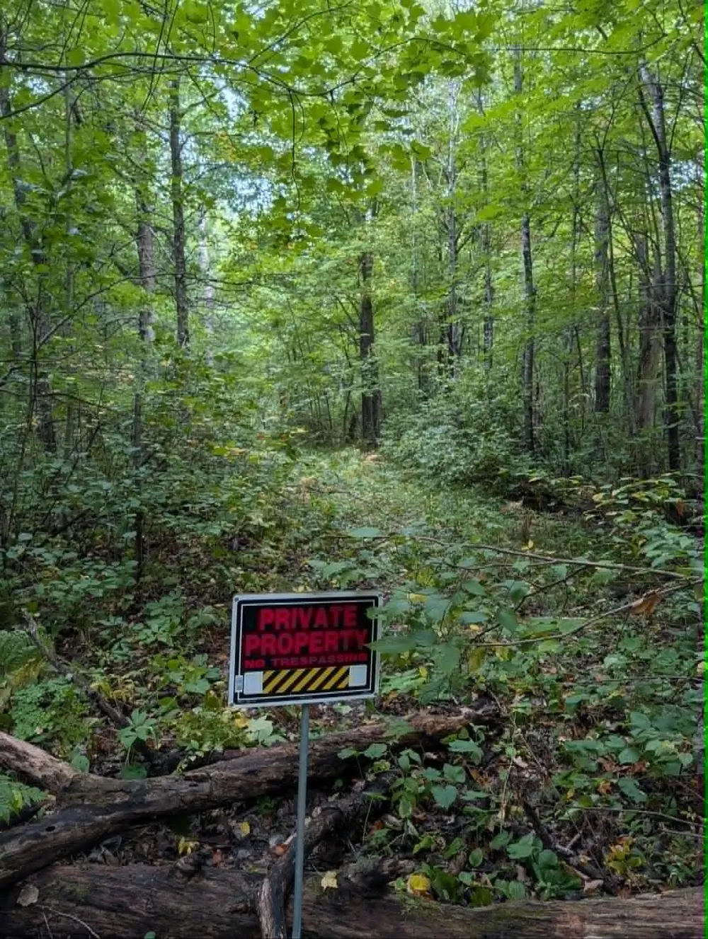 10501 County Hwy M Highway Springbrook, WI 54875