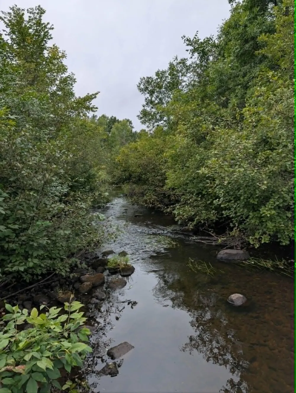 10501 County Hwy M Highway Springbrook, WI 54875