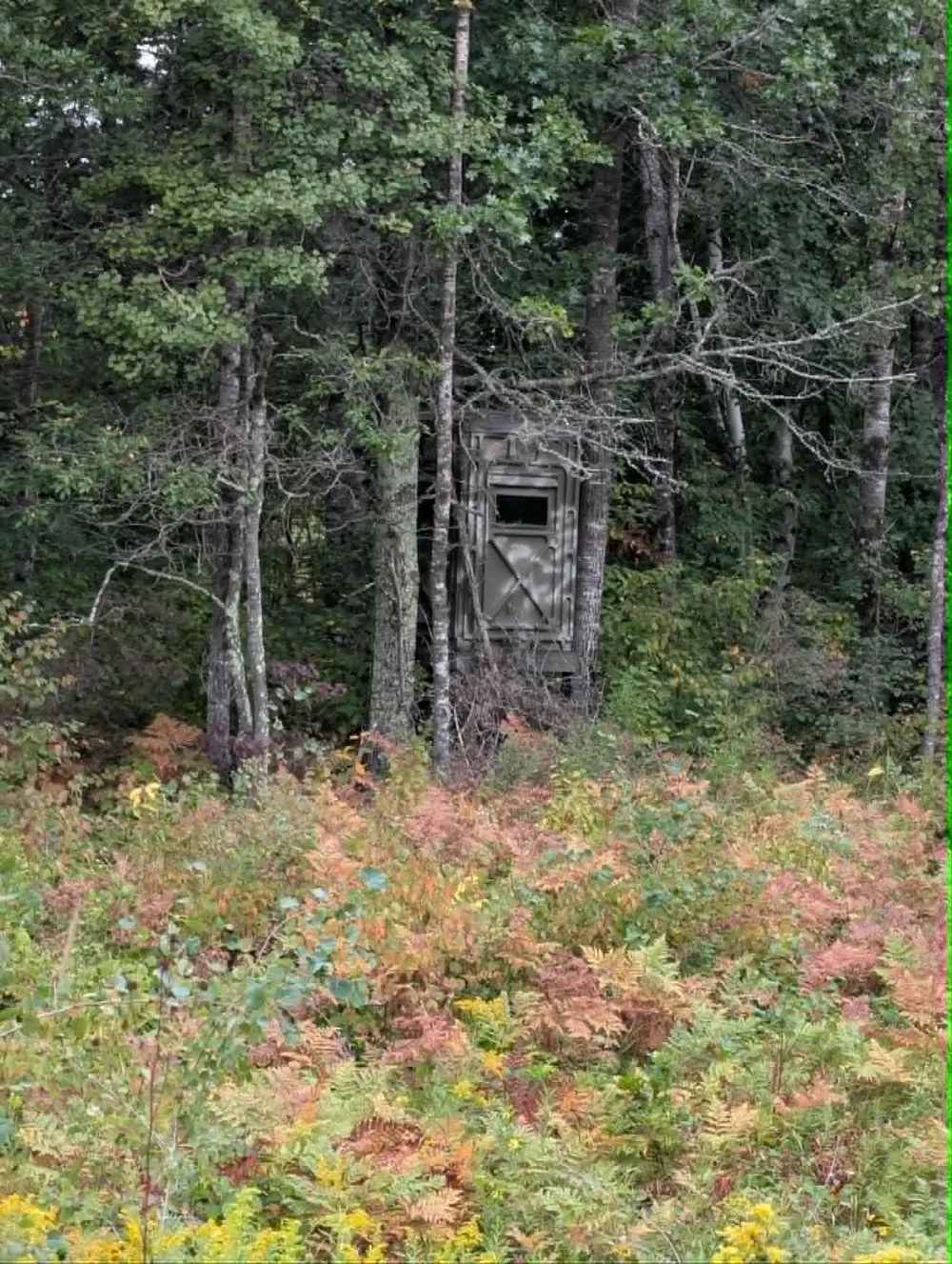 10501 County Hwy M Highway Springbrook, WI 54875