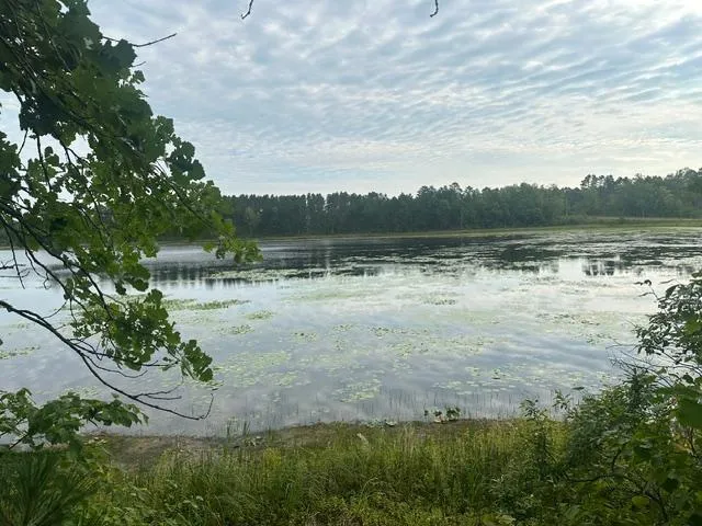 17263 Mission Road SE Cass Lake, MN 56633