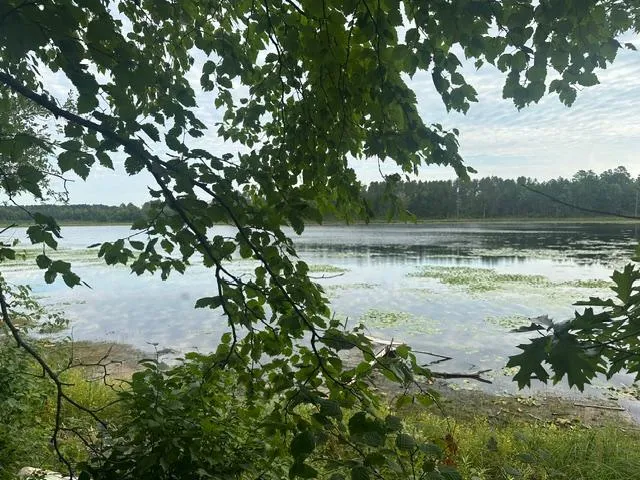 17263 Mission Road SE Cass Lake, MN 56633