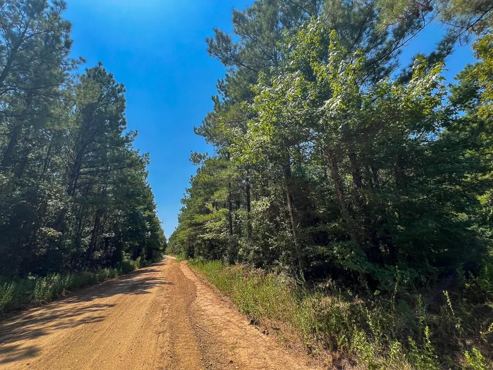 7 County Road 3230 Colmesneil, TX 75938