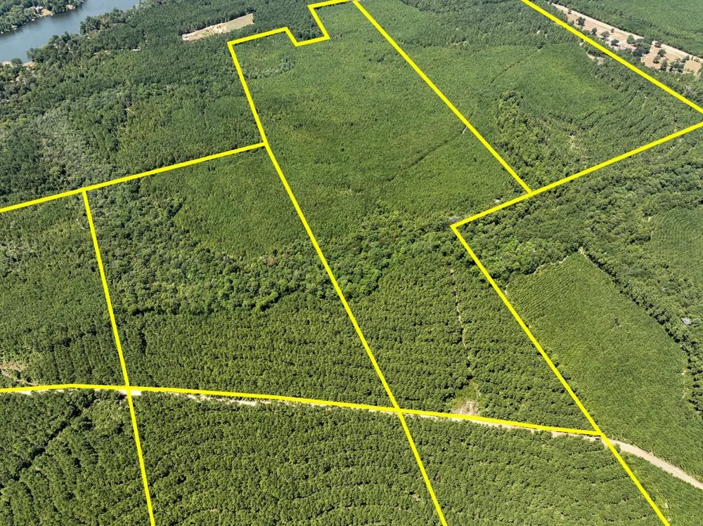 6 County Road 3230 Colmesneil, TX 75938