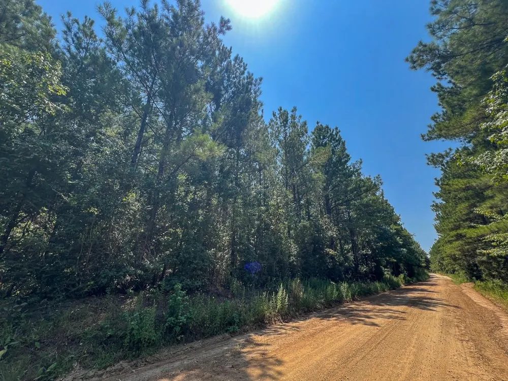 6 County Road 3230 Colmesneil, TX 75938