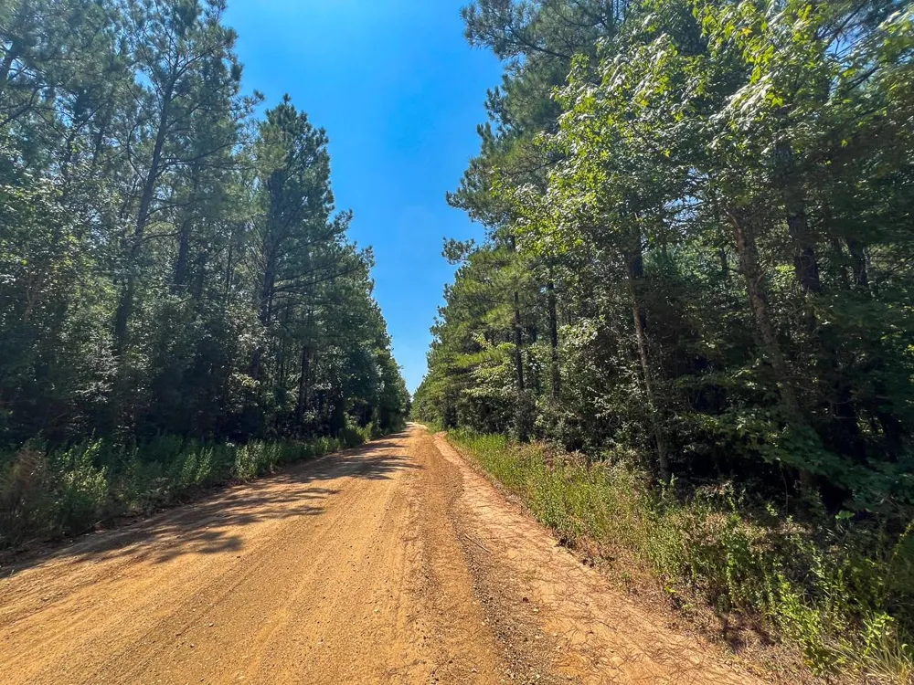 6 County Road 3230 Colmesneil, TX 75938