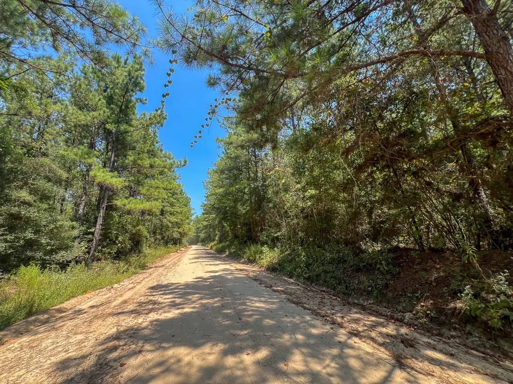 6 County Road 3230 Colmesneil, TX 75938