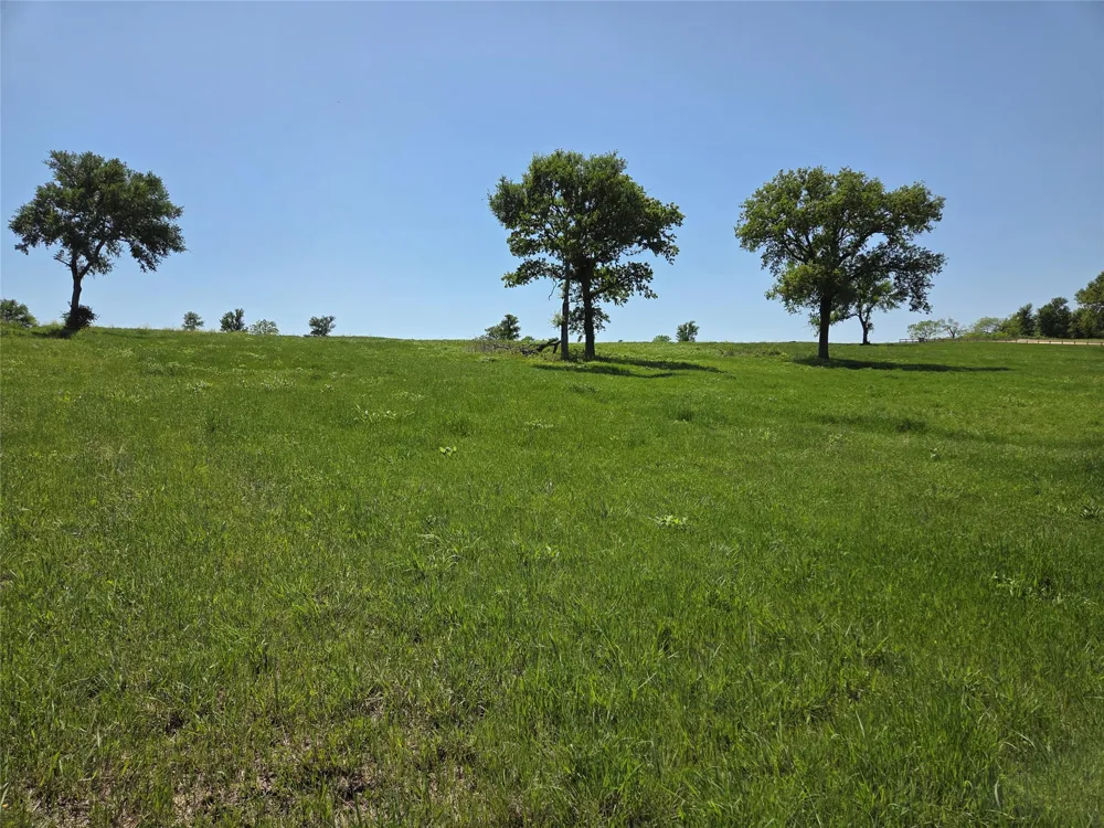 Richland Park Drive Corsicana, TX 75109