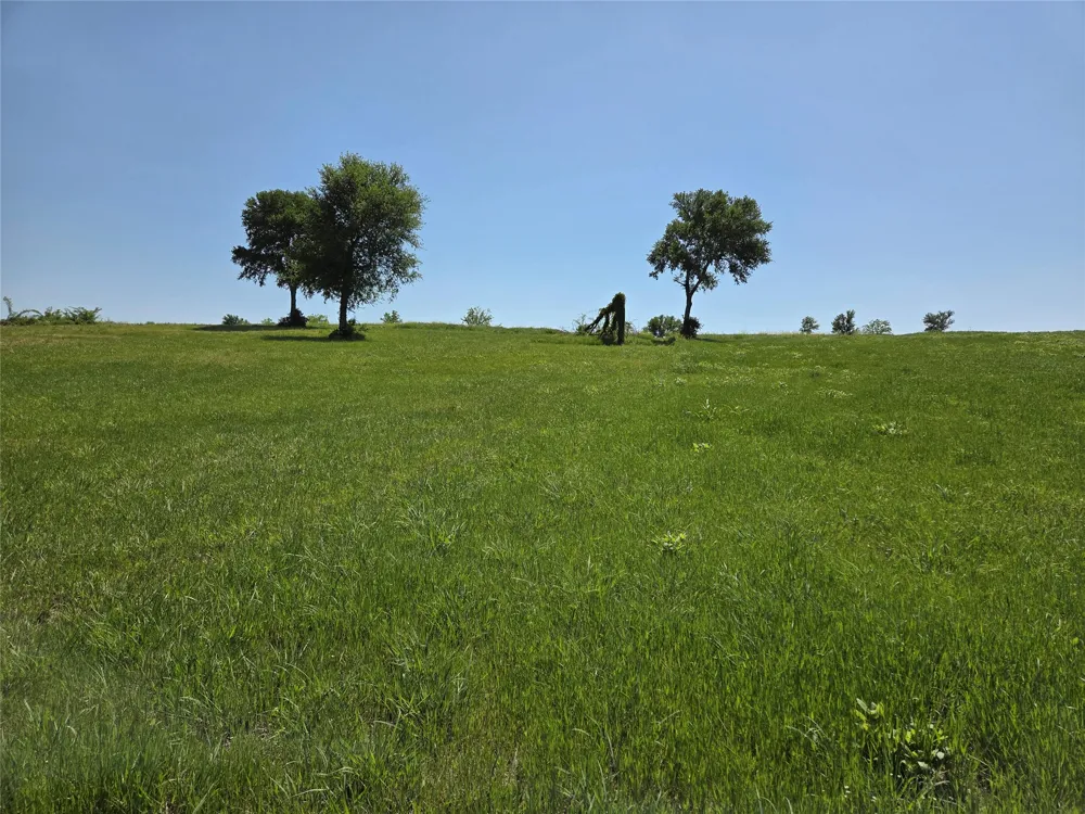 Richland Park Drive Corsicana, TX 75109