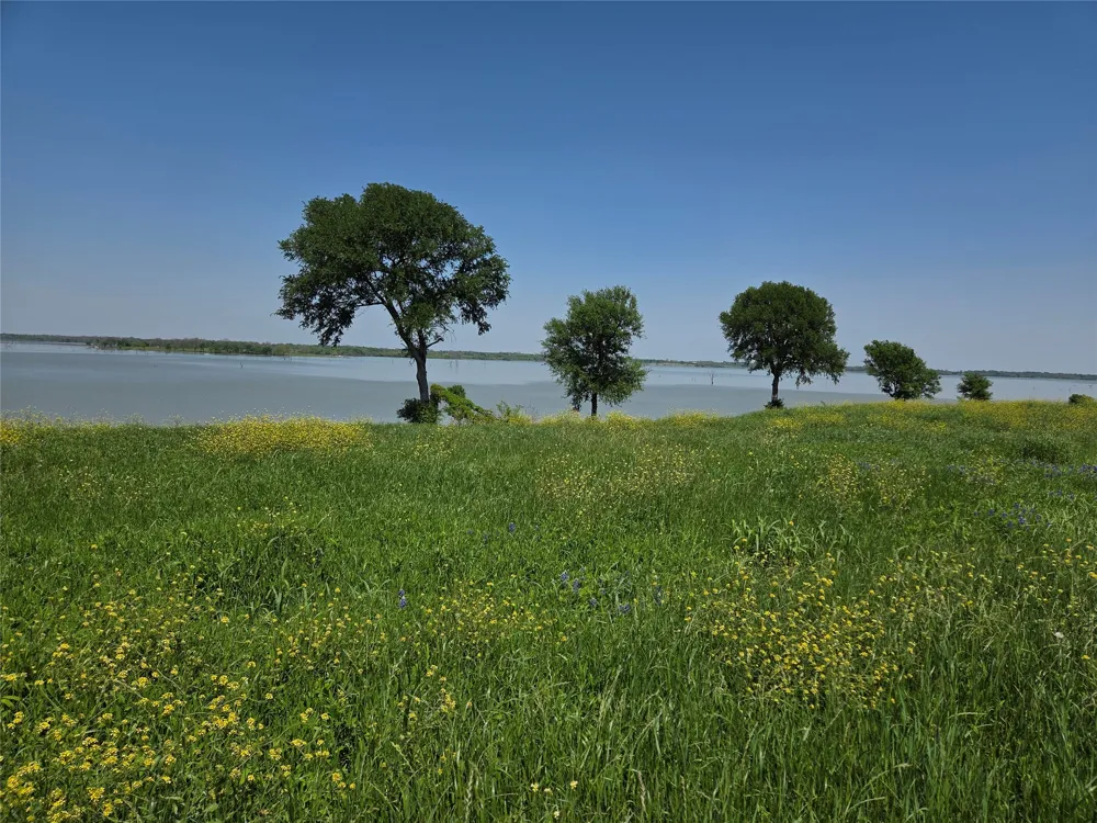 Richland Park Drive Corsicana, TX 75109