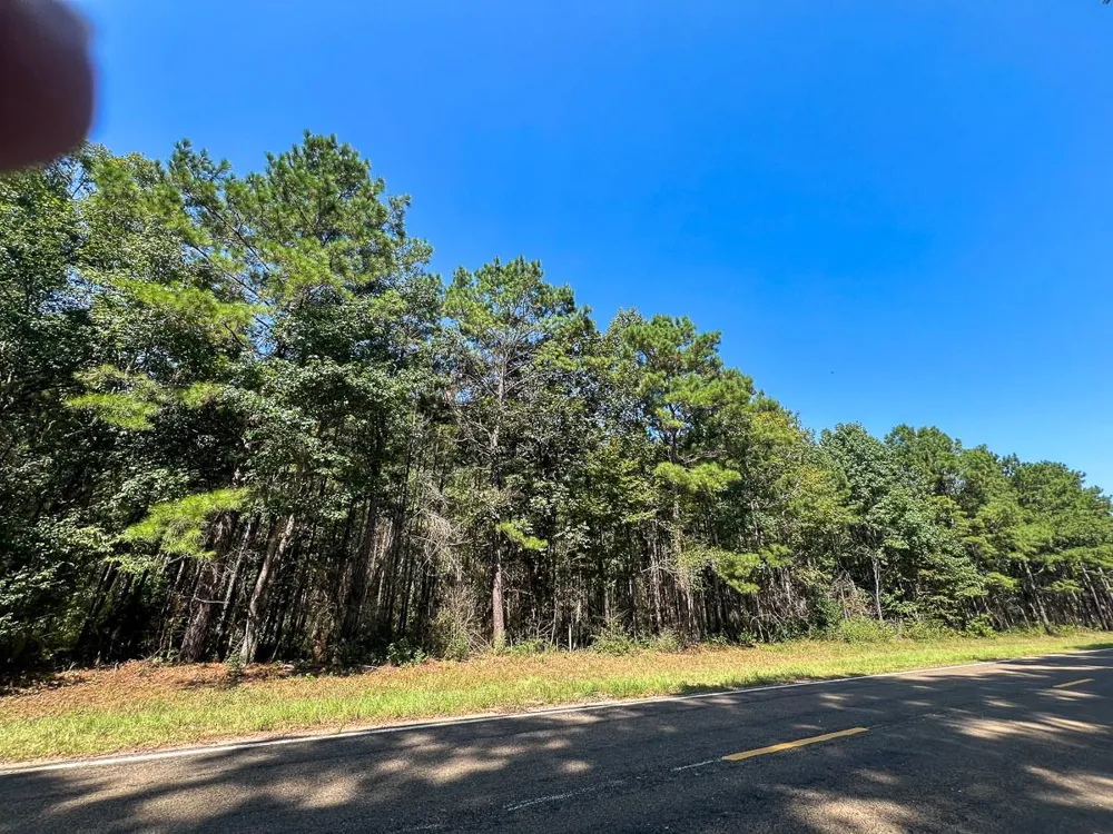 5 Fm 256 Woodville, TX 75979