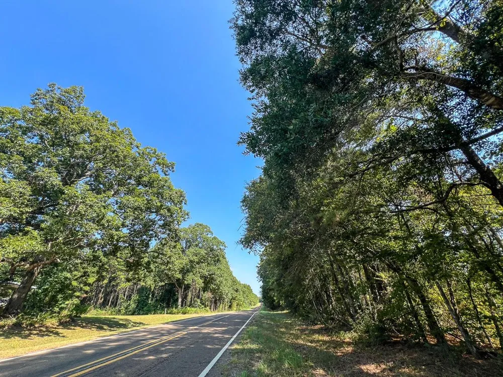 5 Fm 256 Woodville, TX 75979