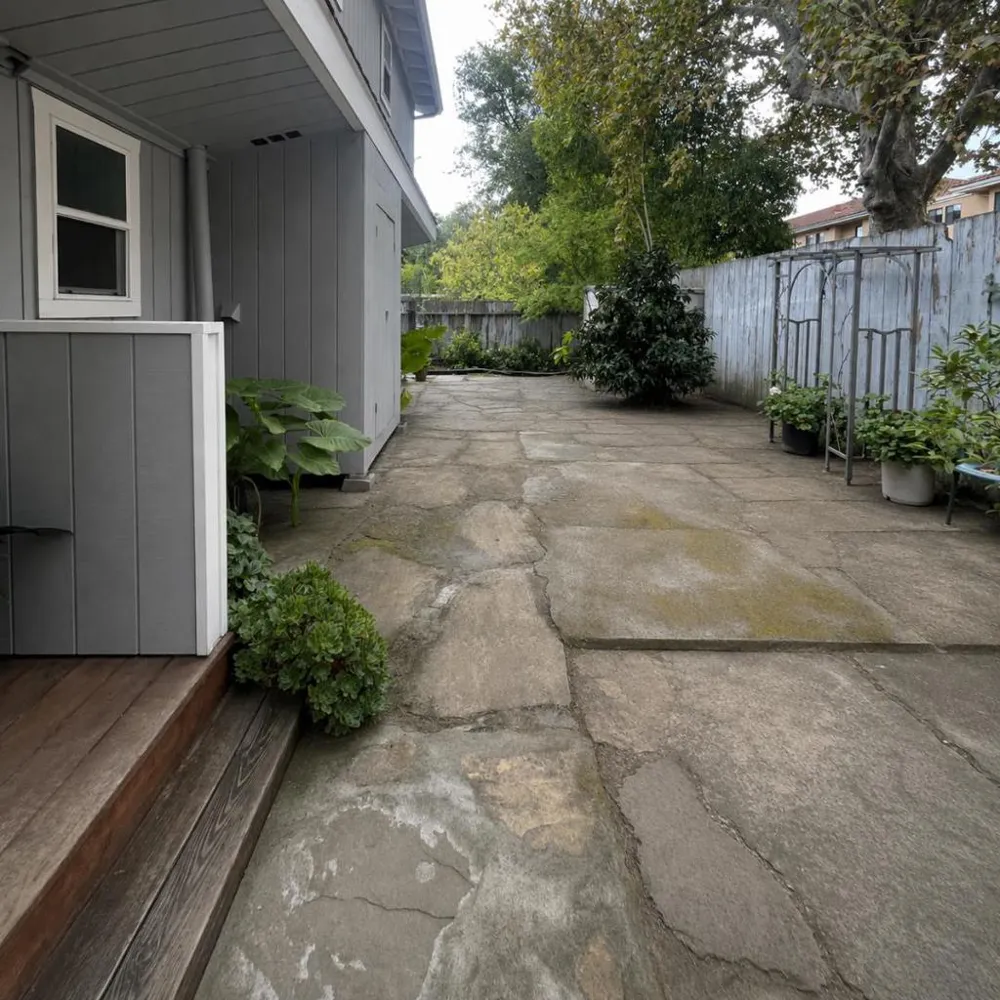 134 Cypress Street #Down Redwood City, CA 94061