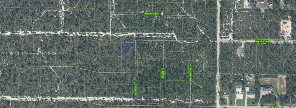 1307 Hyacinth Ave Sebring, FL 32303