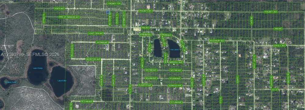 1307 Hyacinth Ave Sebring, FL 32303
