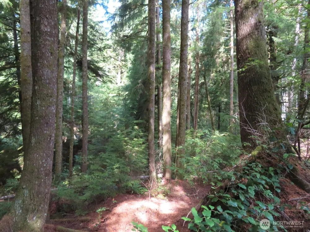 0 XXX State Route 101 South Bend, WA 98586