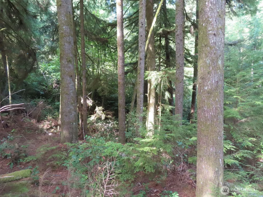 0 XXX State Route 101 South Bend, WA 98586