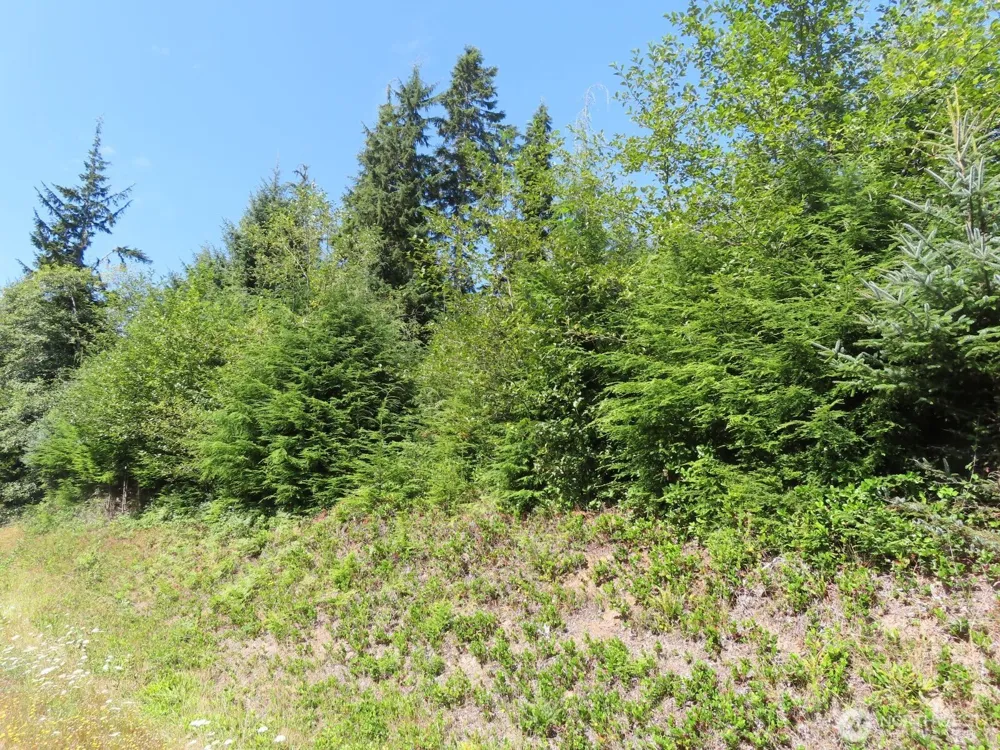 0 XXX State Route 101 South Bend, WA 98586
