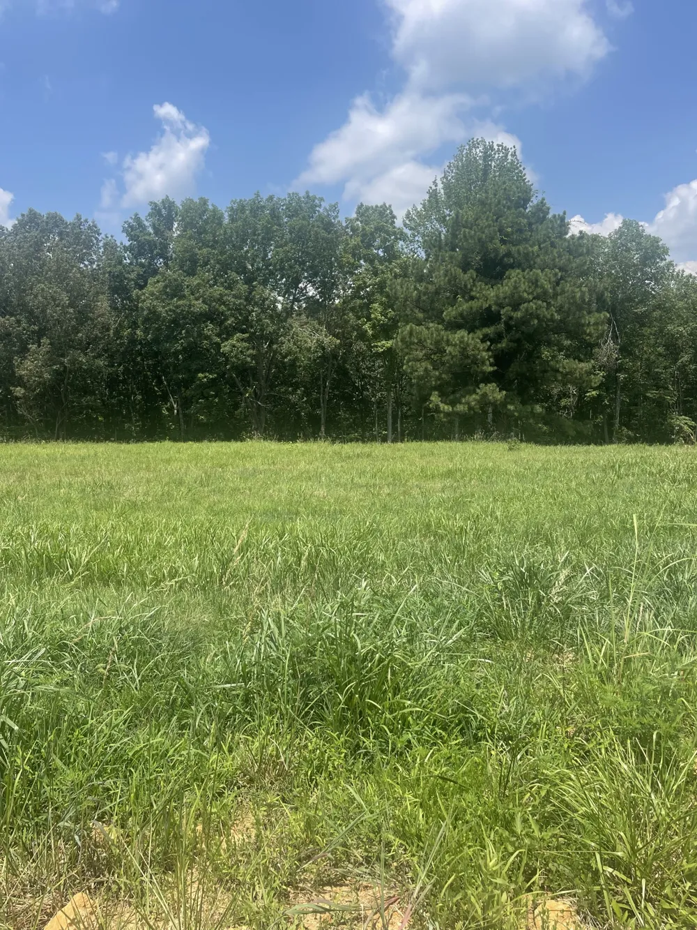 0 Summer Lake Winchester, TN 37398