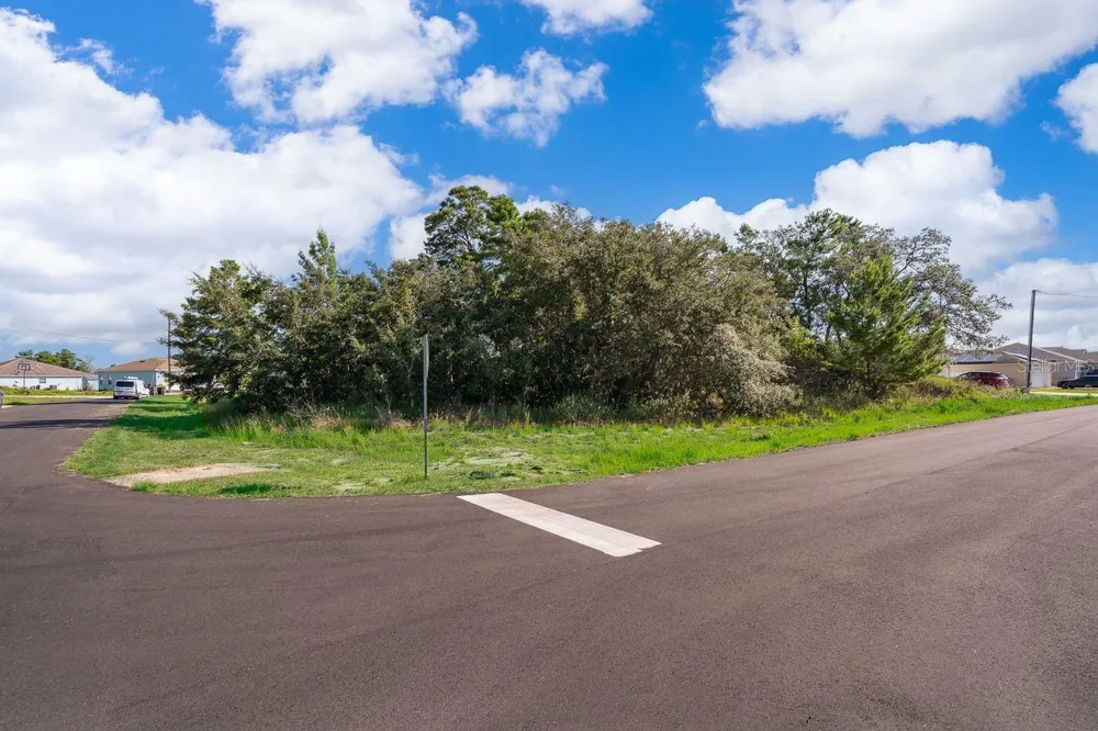 174 MAPLE DRIVE Poinciana, FL 34759
