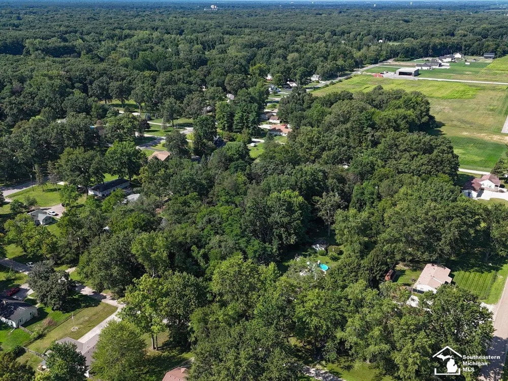 Julia Drive Bedford Township, MI 48144