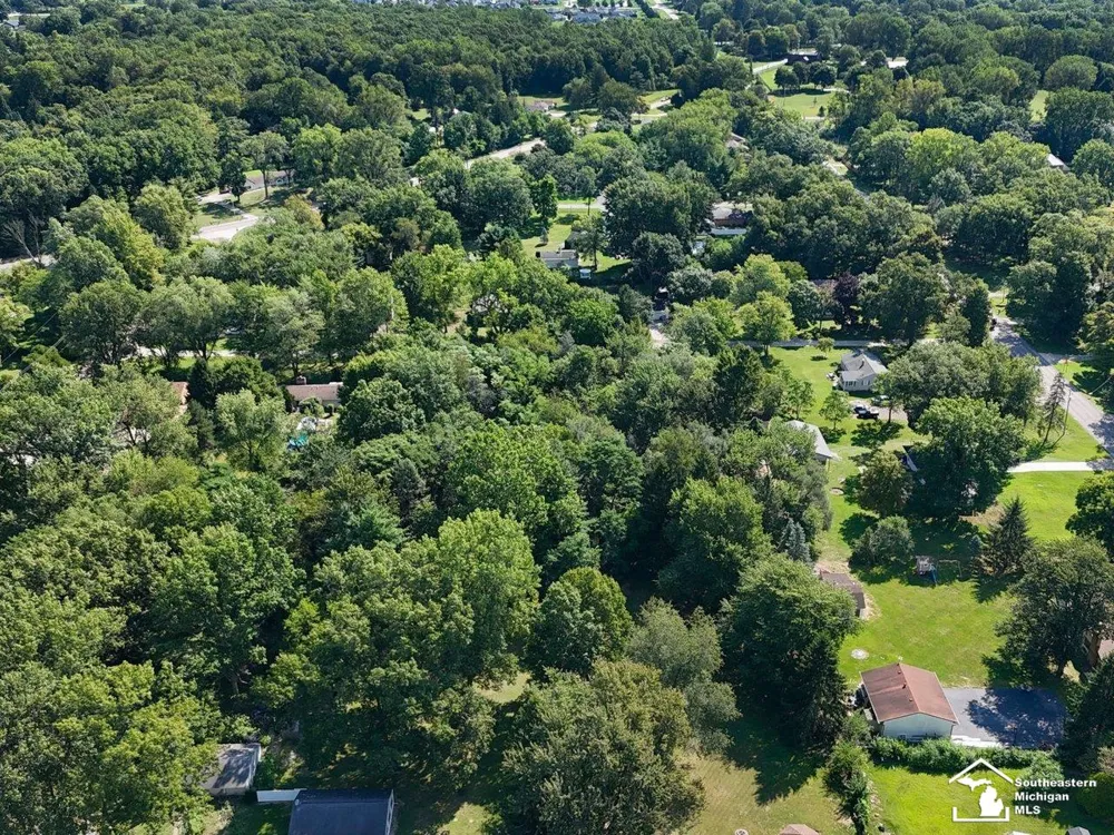 Julia Drive Bedford Township, MI 48144