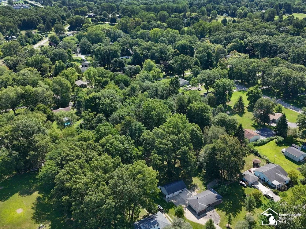 Julia Drive Bedford Township, MI 48144