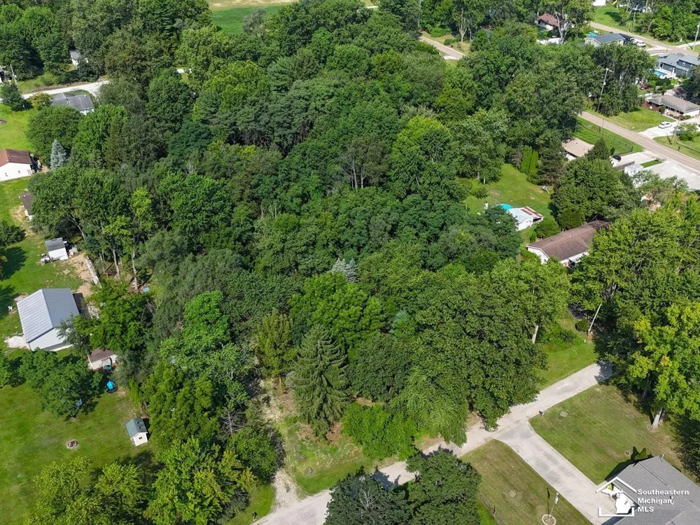 Julia Drive Bedford Township, MI 48144