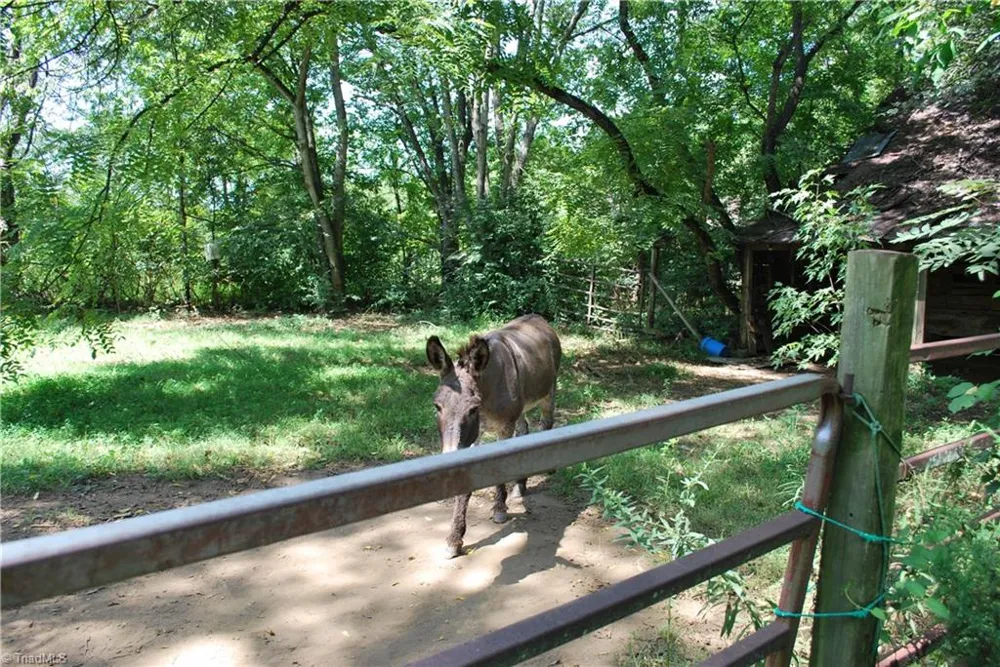 1891 Farmington Road Mocksville, NC 27028