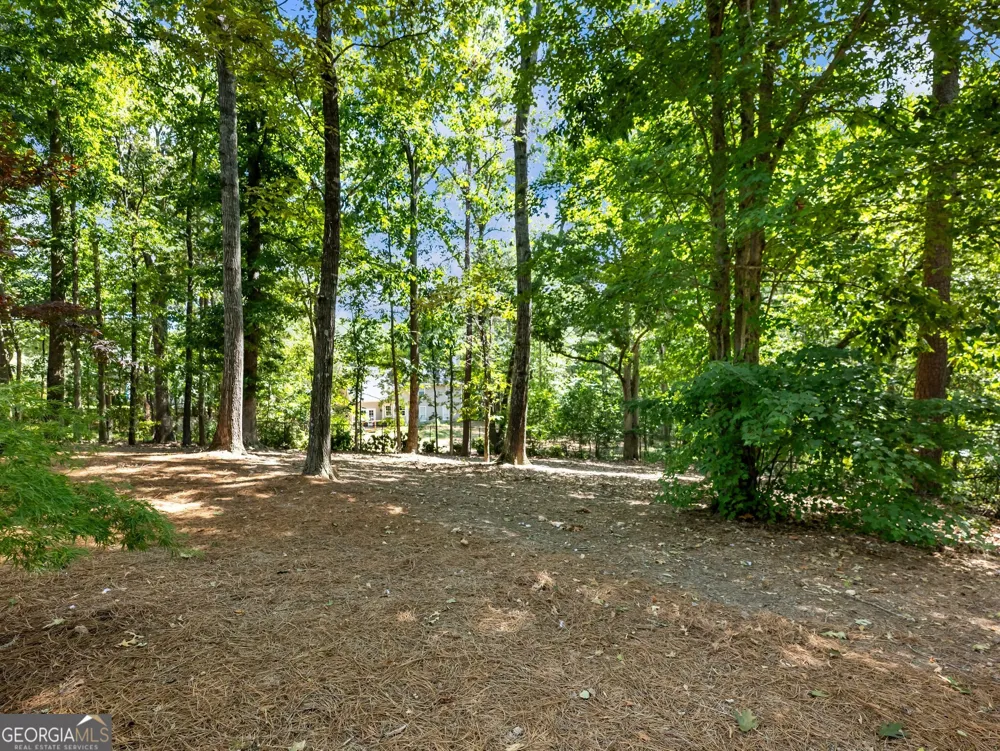 3965 Hamilton View WAY Dacula, GA 30019