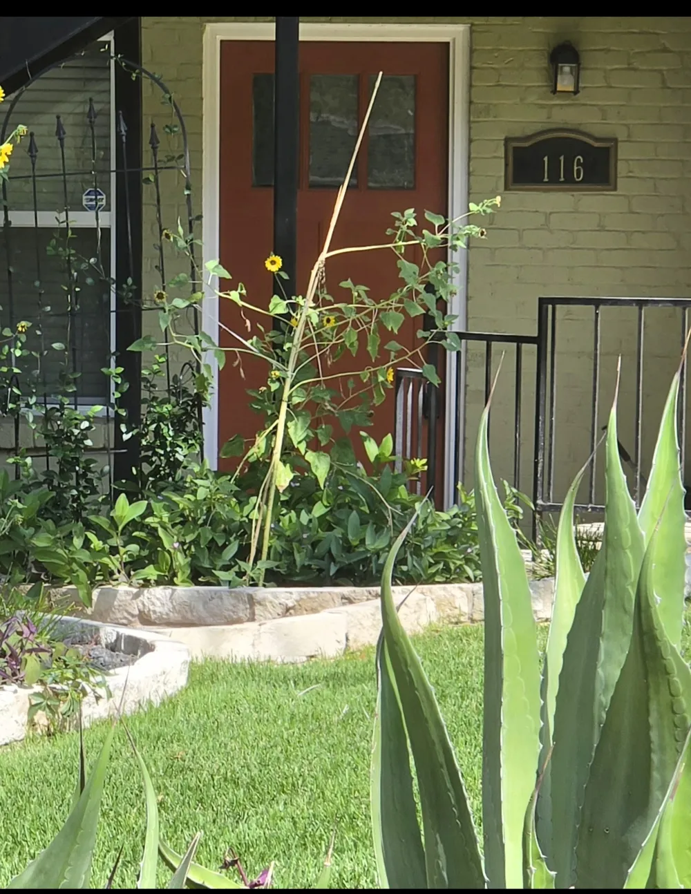 1500 East Side Drive #116A Austin, TX 78704