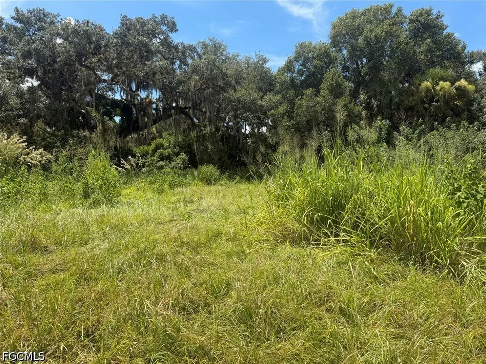 Avalon Avenue Labelle, FL 33935