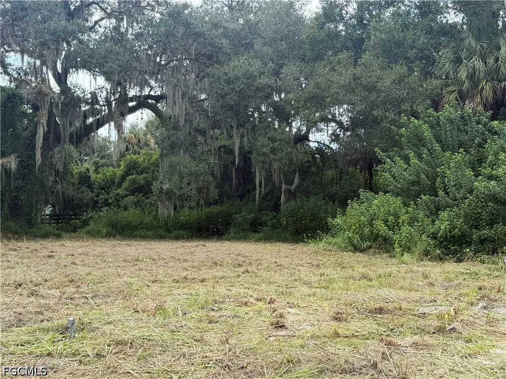 Avalon Avenue Labelle, FL 33935