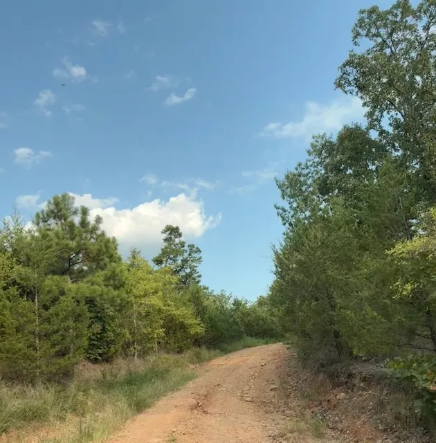 247 Hackney Hill Road Wilburton, OK 74578