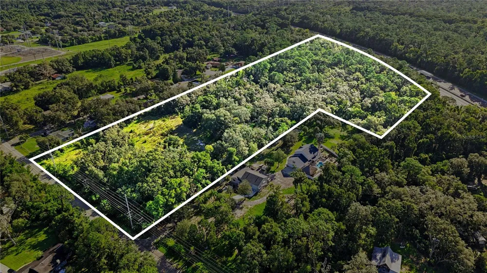LIVINGSTON AVE Lutz, FL 33559
