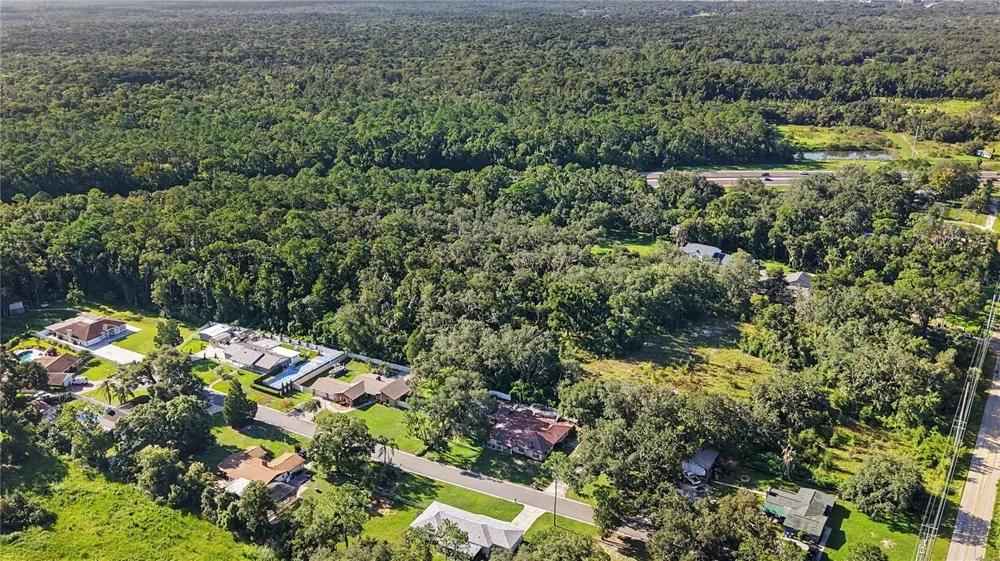 LIVINGSTON AVE Lutz, FL 33559