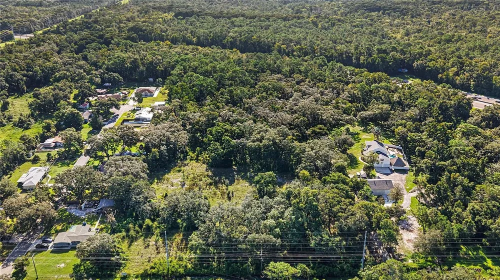 LIVINGSTON AVE Lutz, FL 33559
