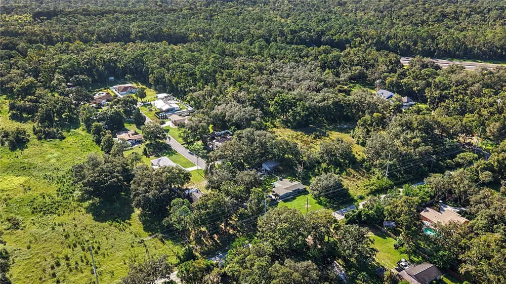 LIVINGSTON AVE Lutz, FL 33559