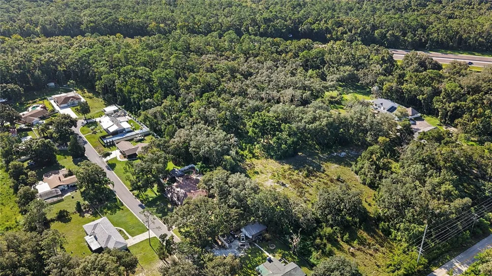 LIVINGSTON AVE Lutz, FL 33559