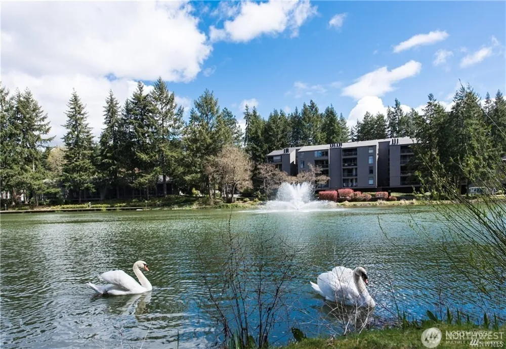 6858 139th Avenue NE #708 Redmond, WA 98052