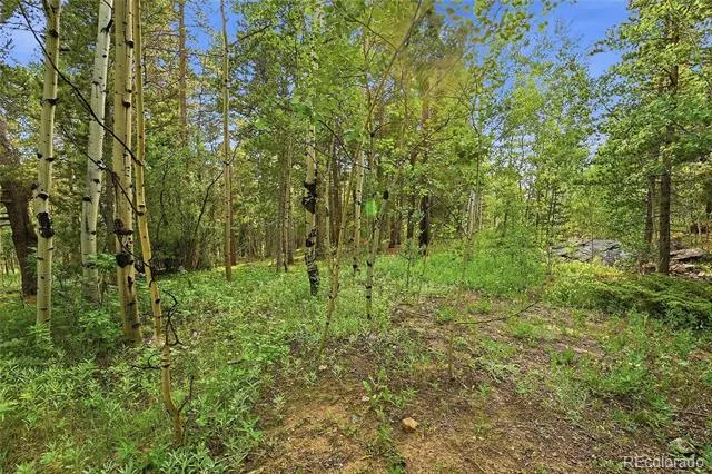 464 Long Trail Road Black Hawk, CO 80422
